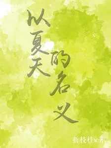 《以夏天的名义》小说封面