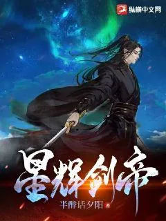 《星辉剑帝》小说封面