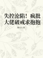 《失控沦陷！疯批大佬破戒求抱抱》小说封面
