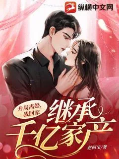 《开局离婚,我回家继承亿万家产》小说封面