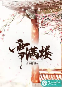 《雪满楼》小说封面