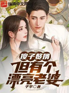 《傻子赘婿，但有个漂亮老婆》小说封面