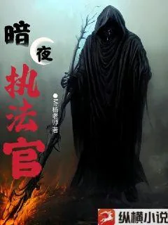 《暗夜执法官》小说封面