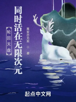 《轮回天盘：同时活在无限次元》小说封面
