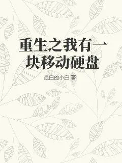 《重生之我有一块移动硬盘》小说封面