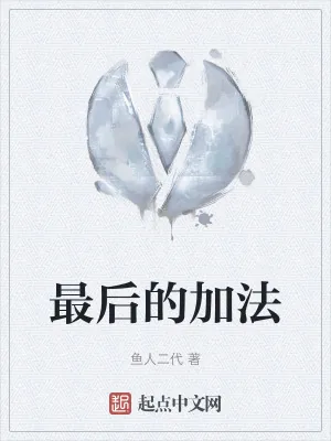 《最后的加法》小说封面