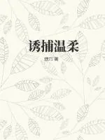 《诱捕温柔》小说封面