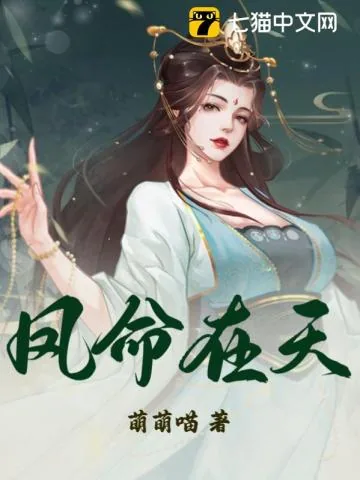 《凤命在天》小说封面