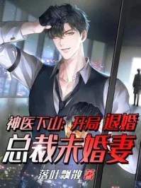 《赵平安叶姚晴》小说封面