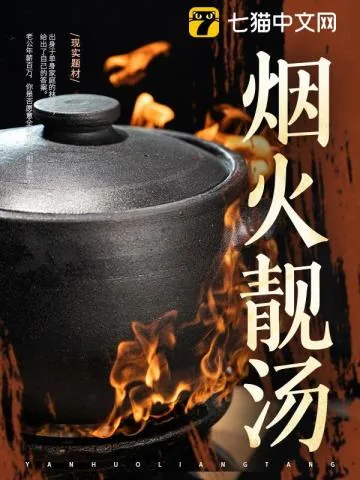 《烟火靓汤》小说封面