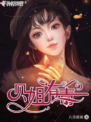 《贝姐有毒》小说封面