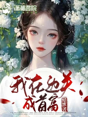 《我在边关成首富》小说封面