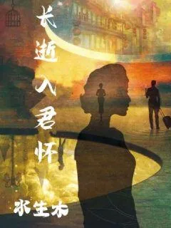 《长逝入君怀》小说封面