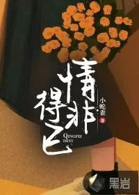 《情非得已》小说封面