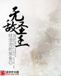 《无敌圣王》小说封面