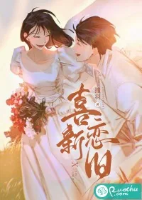 《喜新恋旧》小说封面