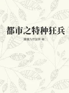 《都市之特种狂兵》小说封面