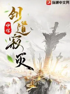 《剑道寂灭》小说封面