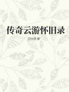 《传奇云游怀旧录》小说封面