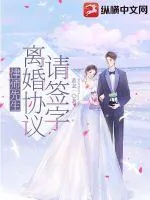 《律师先生，离婚协议请签字》小说封面