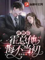 《离婚后，霍总他悔不当初》小说封面
