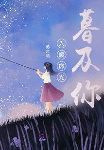 《入暖微光暮及你》小说封面