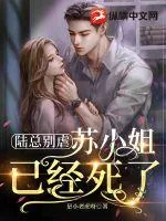 《陆总别虐，苏小姐已经死了》小说封面