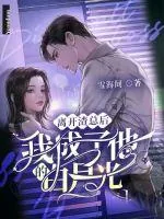 《离开渣总后，我成了他的白月光》小说封面
