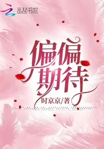 《偏偏期待》小说封面