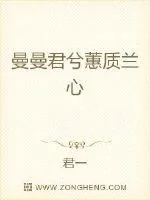 《曼曼君兮蕙质兰心》小说封面