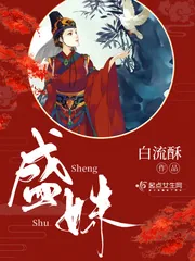《盛姝》小说封面