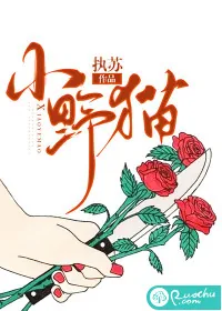 《小野猫》小说封面