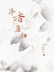《冷香盈袖》小说封面