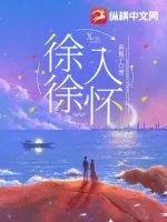 《徐徐入怀》小说封面