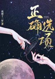 《正确选项》小说封面