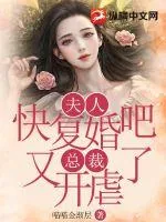 《夫人快复婚吧，总裁又开虐了》小说封面