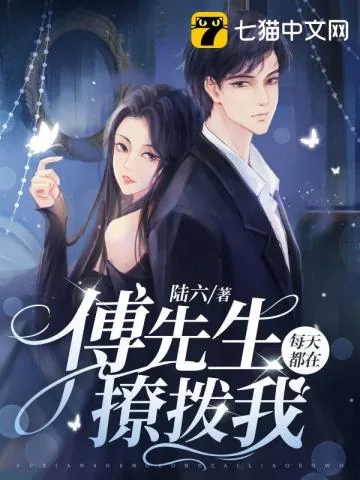 《傅先生每天都在撩拨我》小说封面