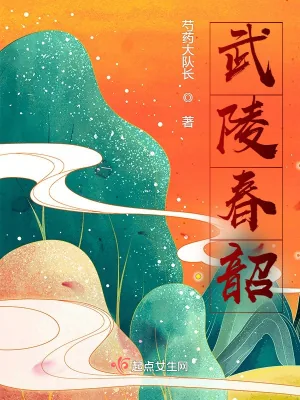 《武陵春韶》小说封面