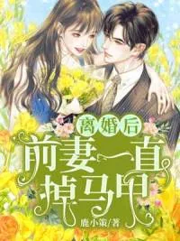 《南颂喻晋文》小说封面