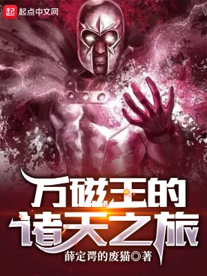 《万磁王的诸天之旅》小说封面
