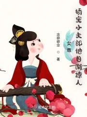 《女尊：娇宠小夫郎他日渐撩人》小说封面