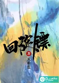 《回旋镖》小说封面