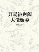 《开局被财阀大佬娇养》小说封面