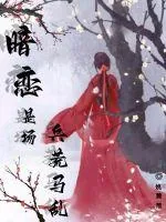 《暗恋是场兵荒马乱》小说封面