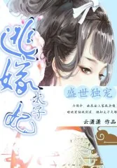 《盛世独宠:逃嫁太子妃》小说封面