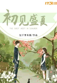 《初见盛夏》小说封面