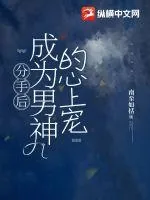 《分手后成为男神的心上宠》小说封面