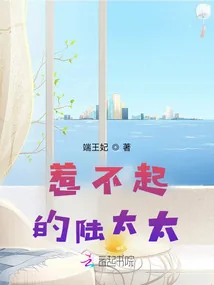 《惹不起的陆太太》小说封面