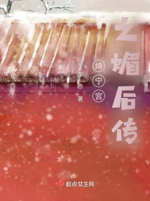 《坤宁宫之媚后传》小说封面