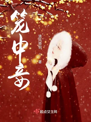 《笼中妾》小说封面
